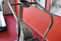 Technogym stepper 2010